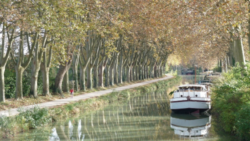 Rando-ramassage de déchets sur les bords du canal du midi