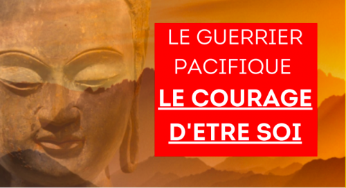 Conférence participative - Le guerrier pacifique et le courage d’être soi