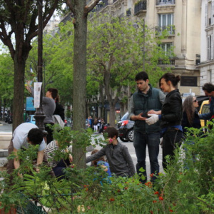 Aux Arbres Citoyens : Végétalisation Urbaine